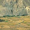 Chitral Farming